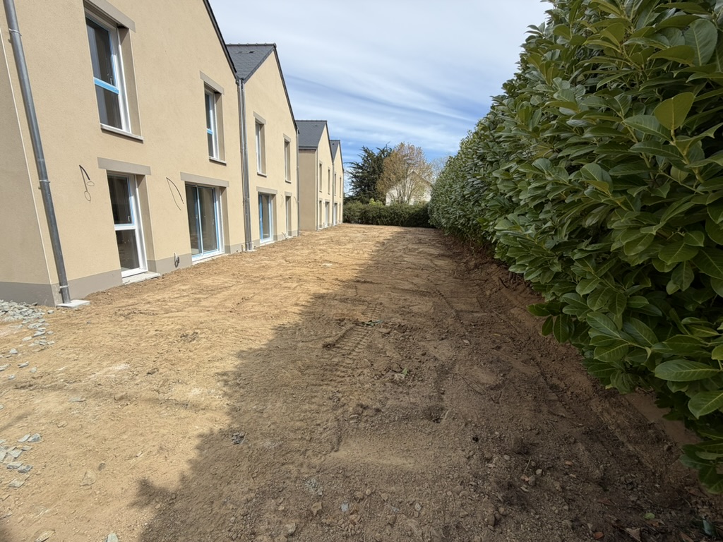 after-image